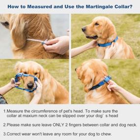 img 1 attached to Dazzber Martingale Collar Royal Blue Large Size Ideal For Training And Walking Your Furry Friend
