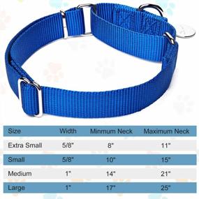 img 3 attached to Dazzber Martingale Collar Royal Blue Large Size Ideal For Training And Walking Your Furry Friend