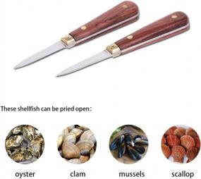 img 1 attached to Secure Oyster Shucking Kit For Mom - SPEENSUN 2 Knife & 1 Glove XL, Not Easy To Break Or Bend!