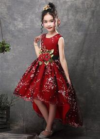 img 3 attached to Bridesmaid Wedding Dresses Sleeveless Pageant Girls' Clothing : Dresses