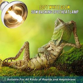 img 1 attached to High Quality 2-Pack 50W UVA UVB Reptile Basking Spot Bulbs - Full Spectrum Sun Light and Heat Lamp for Bearded Dragons, Lizards, Tortoises, and Snakes