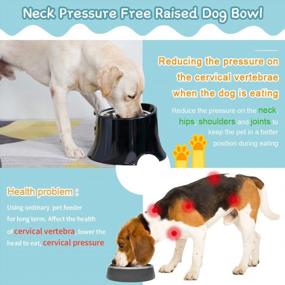 img 3 attached to Reduce Neck Stress And Mess With Super Design Elevated Dog Bowl Raised Feeder - Non-Spill Edges And Non-Skid Sturdy Stand - 2.5 Cup Black