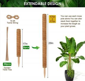 img 2 attached to 6 Pack 17 Inch Moss Plant Support Pole For Monstera Climbing - HongWay 77 Inch
