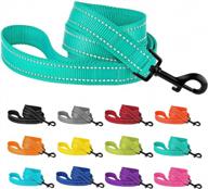 reflective nylon dog leash for heavy-duty outdoor activities - 5ft leash for large, medium & small dogs - mint green - collardirect логотип