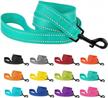 reflective nylon dog leash for heavy-duty outdoor activities - 5ft leash for large, medium & small dogs - mint green - collardirect logo