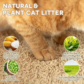 img 3 attached to Tofu Cat Litter - Natural Flushable Clumping Plant Pellets for Ultra Odor Control, Dust Free & Low Tracking - Biodegradable Multi-Cat Solution