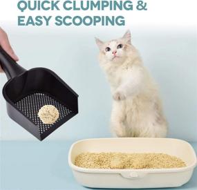 img 1 attached to Tofu Cat Litter - Natural Flushable Clumping Plant Pellets for Ultra Odor Control, Dust Free & Low Tracking - Biodegradable Multi-Cat Solution