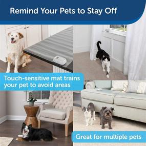 img 1 attached to 🐾 PetSafe ScatMat Indoor Training Mat: 7 Modes, Protect Furniture & Train Pets - Threshold Size (46x3in) - Battery-Operated
