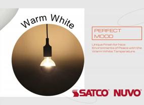 img 1 attached to Satco S3862 120V 60W G25 Medium Base Silver Crown Light Bulb - Ultimate Illumination Solution