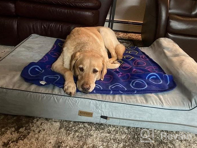 img 1 attached to Orthopedic Memory Foam Pet Bed For Large Dogs - 7-Inch Thick With Pillow And Removable Cover - Anti-Slip Bottom And Waterproof Liner - Sturdy And Modern Design For Big Breeds - Jumbo Size review by Jeremy Yuusuf