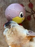 img 1 attached to Train Your Canine'S Foraging Skills With QDAN'S Soccer Ball And Snuffle Mat Combo! review by Barbara Majdoch