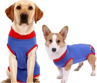 🐾 dog recovery suit with zipper: professional dog onesie for surgery, neuter cone e-collar alternative, wound cover - male & female abdominal wounds anti-licking solution логотип