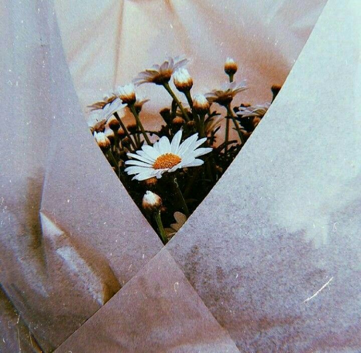 Replacement Plastic Frame Replace Wheels Reviews & Ratings Revain