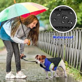 img 3 attached to 🐶 Waterproof Windproof Dog Winter Coat with Harness Hole - Ideal Dog Jacket for Small and Medium Dogs in Cold Weather