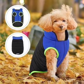 img 2 attached to 🐶 Waterproof Windproof Dog Winter Coat with Harness Hole - Ideal Dog Jacket for Small and Medium Dogs in Cold Weather