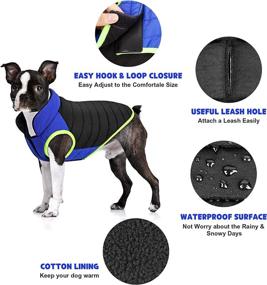 img 1 attached to 🐶 Waterproof Windproof Dog Winter Coat with Harness Hole - Ideal Dog Jacket for Small and Medium Dogs in Cold Weather