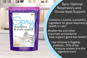 img 1 attached to 🐱 Enhance Your Cat's Respiratory and Ocular Health: In Clover Spry Soft Chews with L-Lysine, Superfoods, and Prebiotics