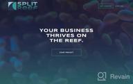 img 1 attached to Split Reef Digital Marketing Agency review by David Causillas