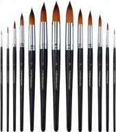 complete 13pc round brush set for watercolor, acrylic, gouache, ink, and tempera - synthetic bristles by transon. logo
