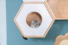 img 2 attached to MYZOO Busy Cat Cover Plate (White), Made Of Solid Wood - Pine, Modern Furniture Design