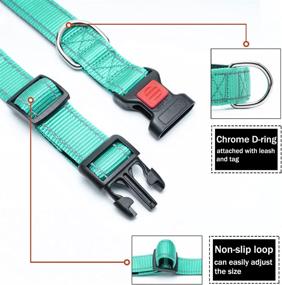 img 1 attached to 🐶 Enhanced Safety and Comfort: Reflective Dog Collar with Locking Buckle, Neoprene Padded Nylon Collar for Dogs of All Sizes