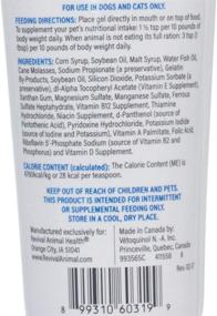 img 3 attached to Doc Roy's Forti Cal - High Calorie Nutritional Energy Supplement for Dogs, Cats, Puppies & Kittens 🐶 - 4.25 oz Roast Beef & Liver Flavored Gel (3 pk): Boost Your Pet's Energy with this Nutrient-packed Gel