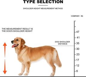 img 2 attached to 🐶 Sonorphine Dog Breeding Stand - Adjustable Height & Length Stainless Steel Grooming Stand for Dog Breeding, Baths, Trimming Nails - Pet Fixed Bracket & Accessories - Supplies for Large Breeds