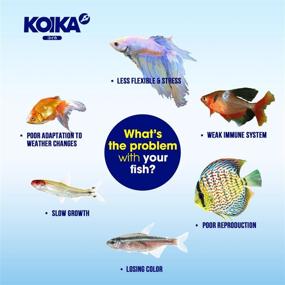 img 3 attached to 🐠 KOIKA Aquarium Probiotics for Fish Tanks: Enhancing Immunity, Disease Resistance & Digestive System Health for Aquatic Pets