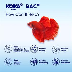 img 2 attached to 🐠 KOIKA Aquarium Probiotics for Fish Tanks: Enhancing Immunity, Disease Resistance & Digestive System Health for Aquatic Pets