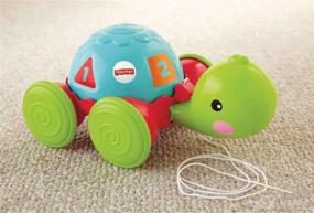 img 3 attached to 🐢 Fisher-Price Turtle Pull Along Toy