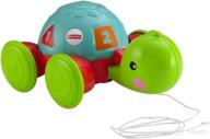 🐢 fisher-price turtle pull along toy логотип