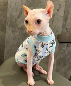 img 2 attached to OCHSTIN Hairless Clothes Pattern Peterbald Cats