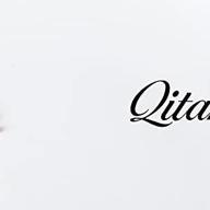 qitian логотип