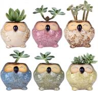 wituse owl pots, small ceramic succulent pots with water drainage-6 pots logo