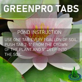 img 2 attached to 12 Count Greenpro Root Tabs Fertilizer Tablets: Ideal For Aquariums, Ponds & Water Gardens!
