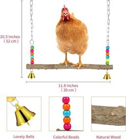 img 2 attached to 🐔 Entertaining Tiibot 8 Pack Chicken Toys Set: Xylophone, Swing, Mirror, Pecking Toys, Veggies Skewer, and Fruit Holder for Chicken, Hens, Parrot