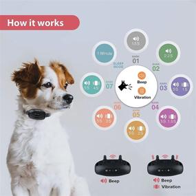 img 1 attached to 🐶 PcEoTllar Rechargeable Bark Collar: Effective Anti Barking Device for Medium Large Dogs