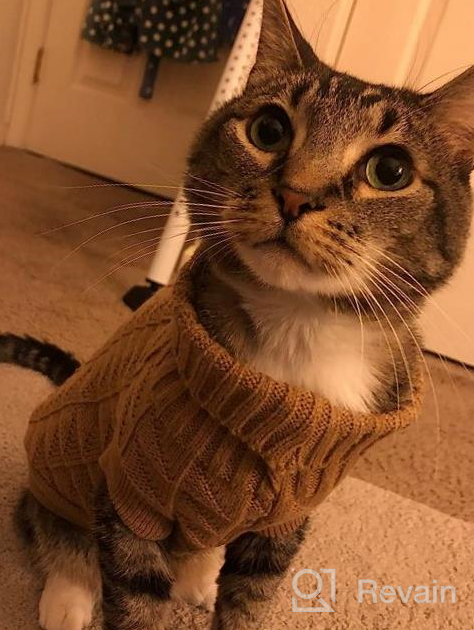 img 1 attached to Cozy Up Your Feline Friend With Our Turtleneck Cat Sweater – Perfect For Kitty, Chihuahua, Teddy, Poodle, Pug And Small Dogs! review by Kevin Phillips
