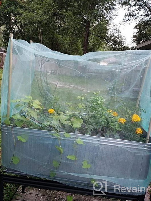 img 1 attached to Extra Fine Mesh Garden Barrier Netting, Plant Covers 8x24ft - 30% Sun Net Green Sunblock 🌿 Mesh Shade Protection for Vegetables, Fruits, Flowers, Crops - Row Cover, Raised Bed Screen Against Birds, Animals review by Todd Nordine