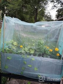 img 7 attached to Extra Fine Mesh Garden Barrier Netting, Plant Covers 8x24ft - 30% Sun Net Green Sunblock 🌿 Mesh Shade Protection for Vegetables, Fruits, Flowers, Crops - Row Cover, Raised Bed Screen Against Birds, Animals