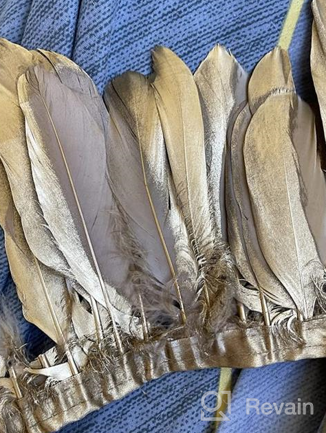 img 1 attached to Sowder Duck Goose Feather Trim Fringe 2 Yards (White) - Elegant Decoration for Crafting and Home Décor Projects review by Jeffrey Kue