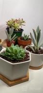 img 1 attached to 6 Small Ceramic Succulent Planter Pots With Drainage Hole & Bamboo Tray - White Porcelain Garden Decor For Home And Office (No Plants) review by Nate Ducey