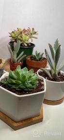 img 7 attached to 6 Small Ceramic Succulent Planter Pots With Drainage Hole & Bamboo Tray - White Porcelain Garden Decor For Home And Office (No Plants)