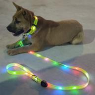 🐕 rechargeable led light-up dog leash and collar set: waterproof, glow-in-the-dark, reflective, and perfect for pet safety during night walking logo