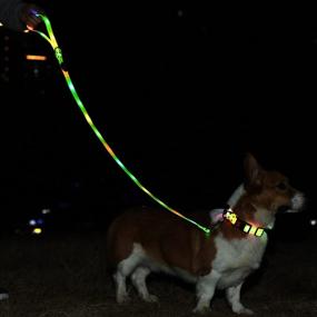 img 3 attached to 🐕 Rechargeable LED Light-Up Dog Leash and Collar Set: Waterproof, Glow-in-the-Dark, Reflective, and Perfect for Pet Safety during Night Walking