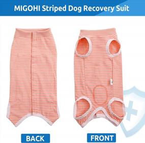 img 3 attached to MIGOHI Dog Surgery Recovery Suit - Reusable Pet Spay Surgical Shirt For Abdominal Wounds, Professional Male Female Alternative To Cone E-Collar