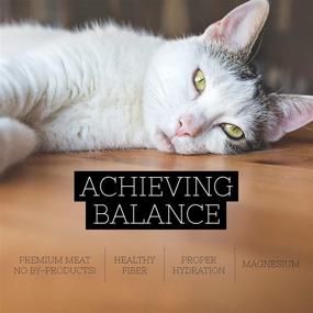  "Discover the Allure of Cat 3456: The Ultimate Guide to Feline Charm and Care"