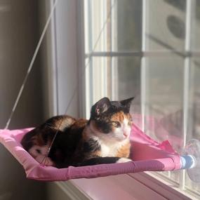 img 2 attached to Give Your Kitty A Comfy Spot With Noyal Cat Resting Seat Perch Window Hammock - Holds Up To 30Lbs!