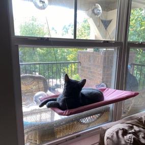 img 1 attached to Give Your Kitty A Comfy Spot With Noyal Cat Resting Seat Perch Window Hammock - Holds Up To 30Lbs!