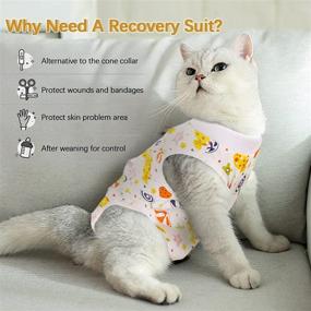 img 1 attached to IDOMIK Cat Recovery Suit: Anti-Licking & Biting, Professional Surgical Shirt Alternative, Post-Surgery Clothing for Abdominal Wounds, Indoor Soft Pajama Suit for Kittens & Cats